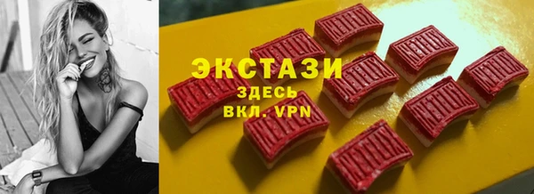 круглые Гусев