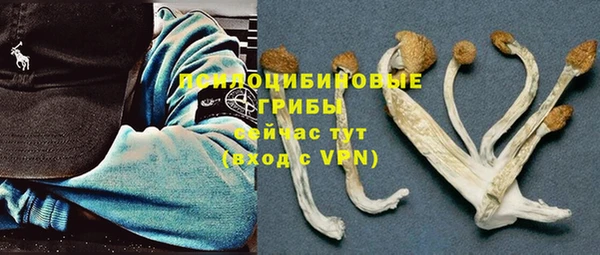 apvp Армянск