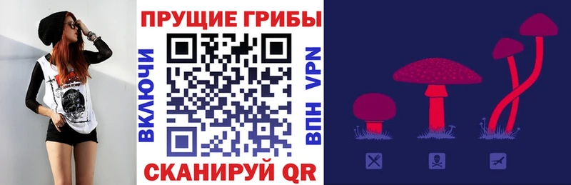 Псилоцибиновые грибы мицелий  как найти   Иннополис 