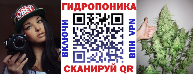 Шишки марихуана марихуана  Иннополис 